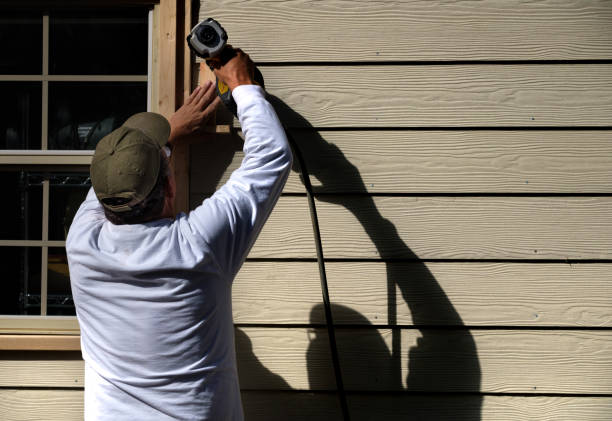 Best Siding Painting and Refinishing  in Brighton, CO