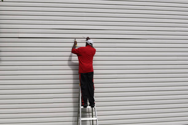 Affordable Siding Repair and Maintenance Services in Brighton, CO