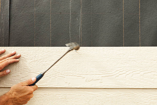 Best Vinyl Siding Installation  in Brighton, CO